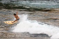 Platja de Honoli'i On la Majoria de Dones al fill practicants de surf, fins i tot hi ha una Escola, la Gran Illa Noia Surf, Que els dóna classes una novícies Les. Illa Gran.
